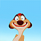anka_y0 avatar