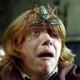 arania na Harry Potter Forum